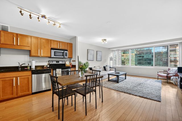 211 E ohio Street 2514, Chicago, IL 60611