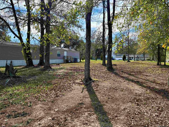 17595 Joe Sevario Rd, Prairieville, LA 70769