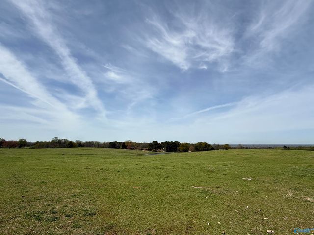 64 Acres +/- Bluff Road, Boaz, AL 35956