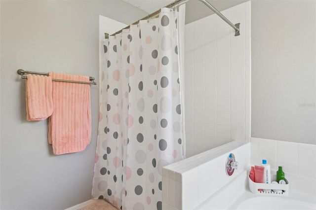 11817 BRANCH MOORING DRIVE, Tampa, FL 33635