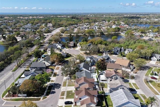 11817 BRANCH MOORING DRIVE, Tampa, FL 33635