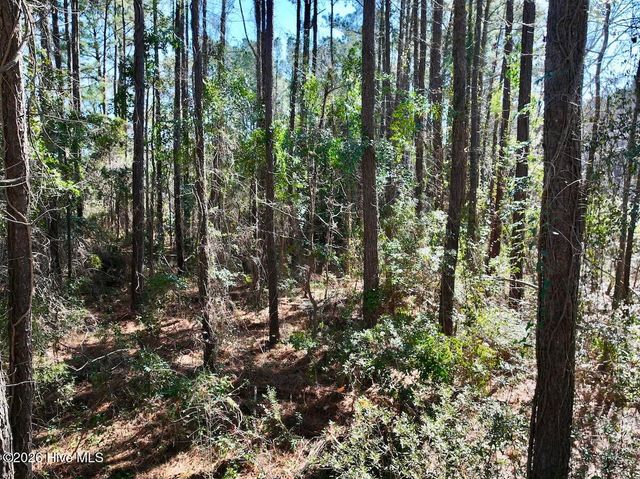 0 Creek Place Road, Arapahoe, NC 28510