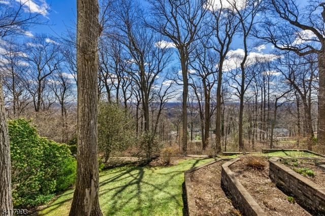 10 Tree Top Dr, Springfield Twp., NJ 07081