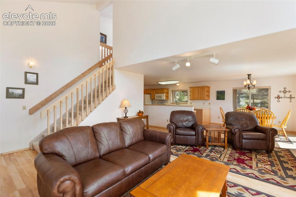 625 Sun Valley Drive, Woodland Park, CO 80863 — photo 3