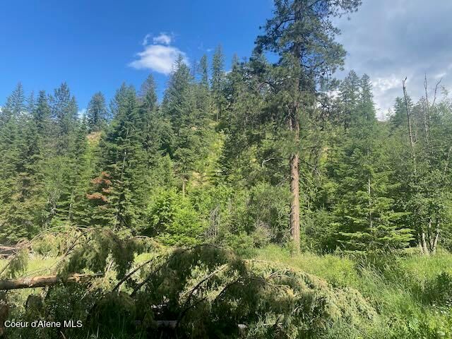 XXX S Hwy 3, Medimont, ID 83842