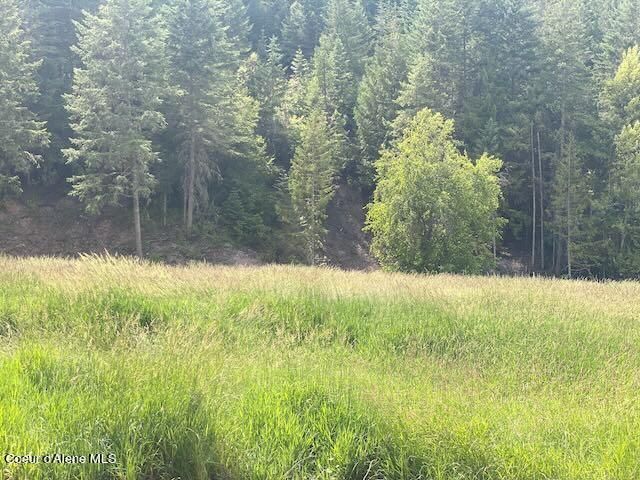 XXX S Hwy 3, Medimont, ID 83842