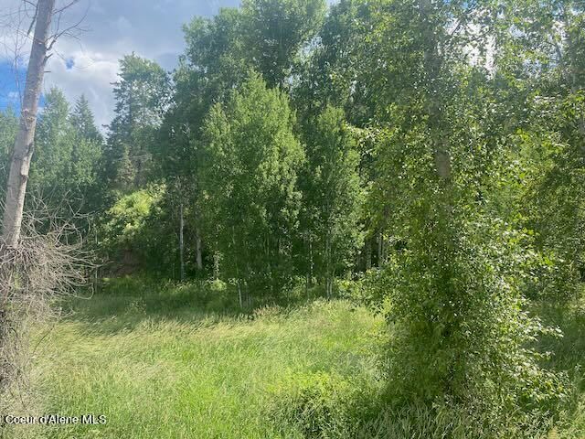 XXX S Hwy 3, Medimont, ID 83842