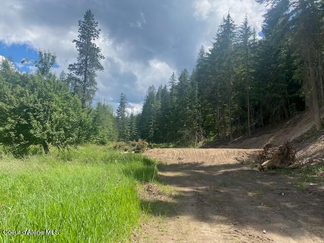XXX S Hwy 3, Medimont, ID 83842