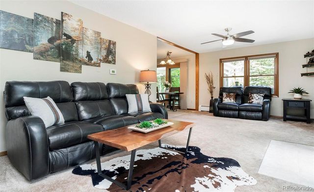 1064 Apex Valley Road, Black Hawk, CO 80422
