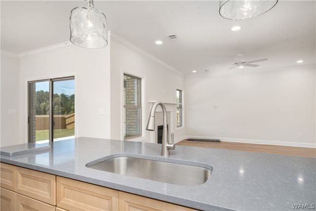 12644 White Pine, Northport, AL 35475