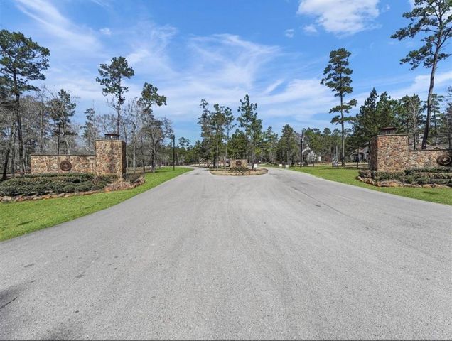 14-37-3 Dipping Vat Road, New Waverly, TX 77358