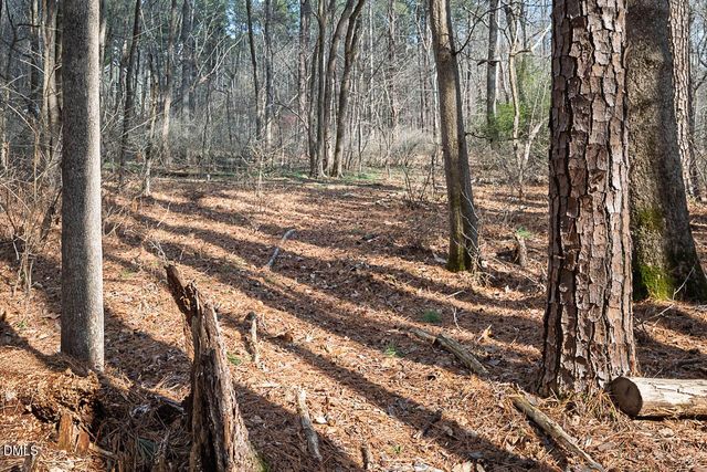 350 Wild Rose Lane, Pittsboro, NC 27312