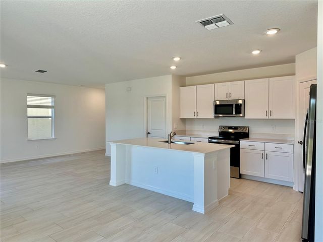 17761 PLEASANTVIEW BOULEVARD, Land O Lakes, FL 34638