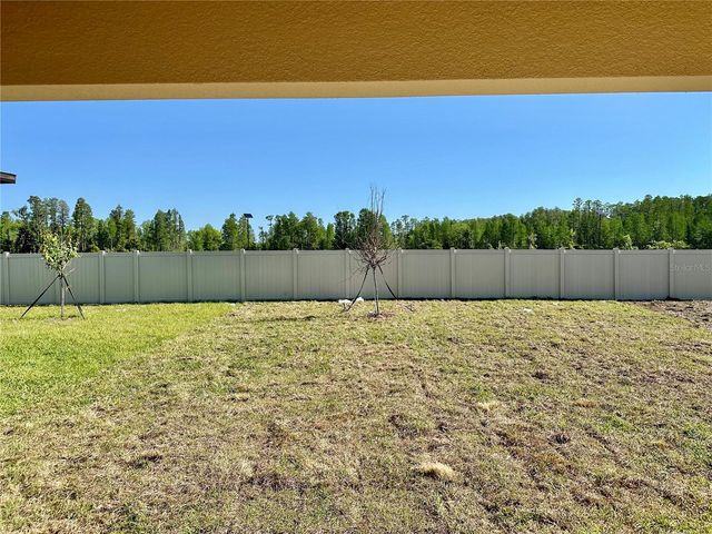 17761 PLEASANTVIEW BOULEVARD, Land O Lakes, FL 34638