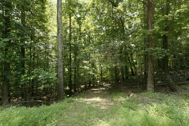 1800 S Pittsburg Mountain Road, South Pittsburg, TN 37380