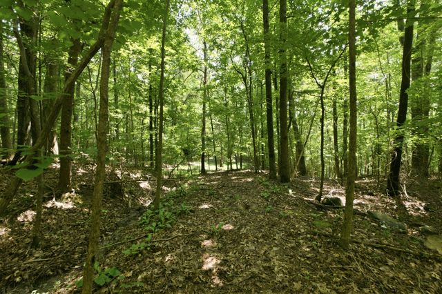 1800 S Pittsburg Mountain Road, South Pittsburg, TN 37380