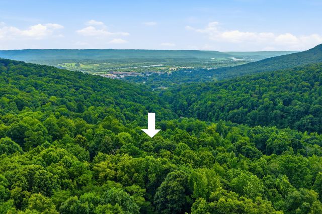 1800 S Pittsburg Mountain Road, South Pittsburg, TN 37380