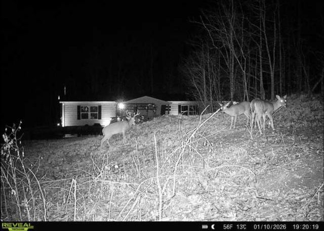1800 S Pittsburg Mountain Road, South Pittsburg, TN 37380