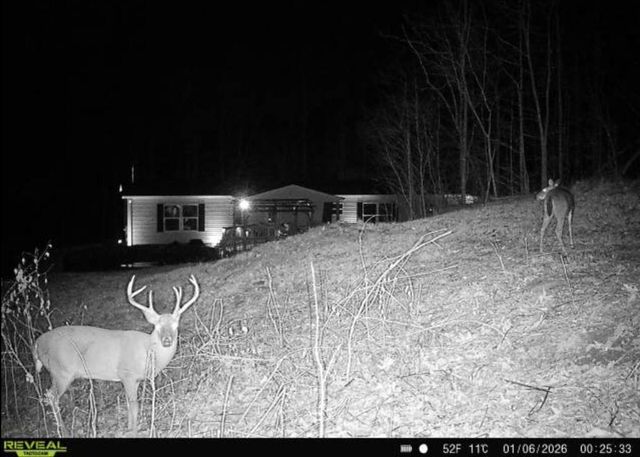 1800 S Pittsburg Mountain Road, South Pittsburg, TN 37380