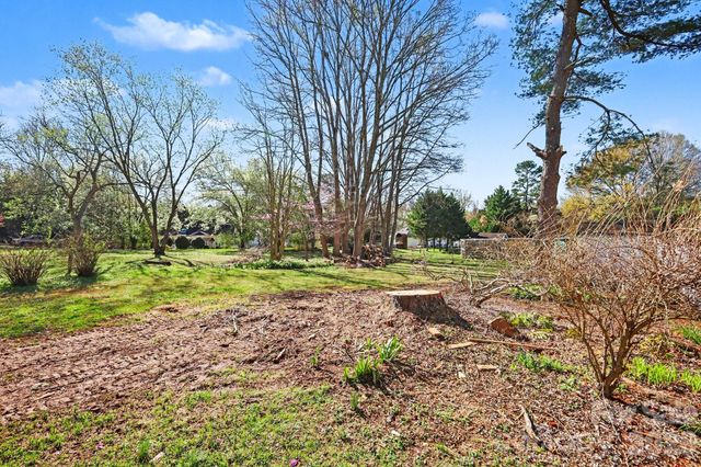 10116 Mountain Apple Drive, Mint Hill, NC 28227