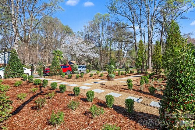 10116 Mountain Apple Drive, Mint Hill, NC 28227