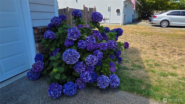 128 Berggren Road N, Eatonville, WA 98328
