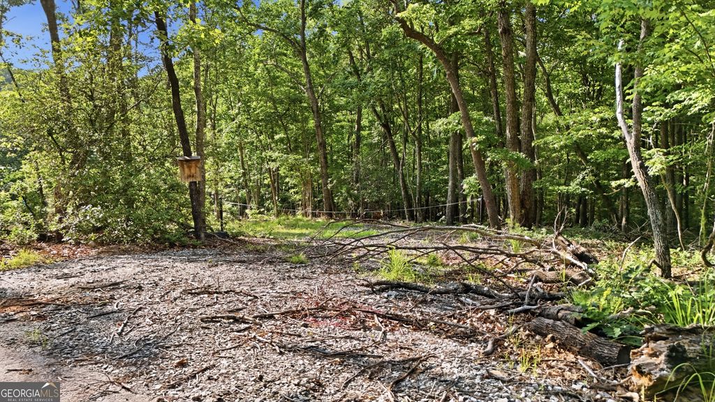 52 Timberlake Court, Toccoa, GA 30577 — photo 4