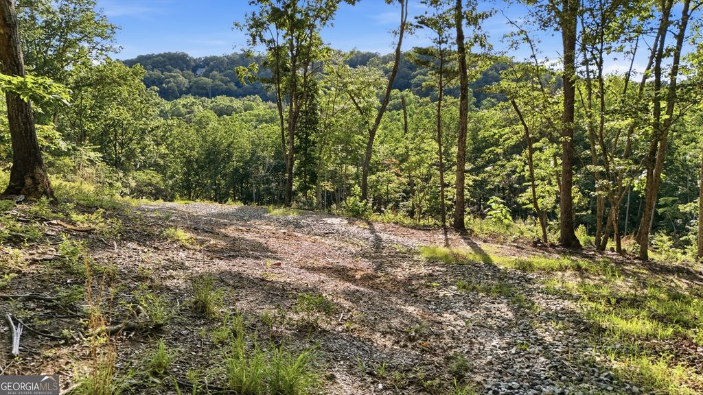 52 Timberlake Court, Toccoa, GA 30577 — photo 5