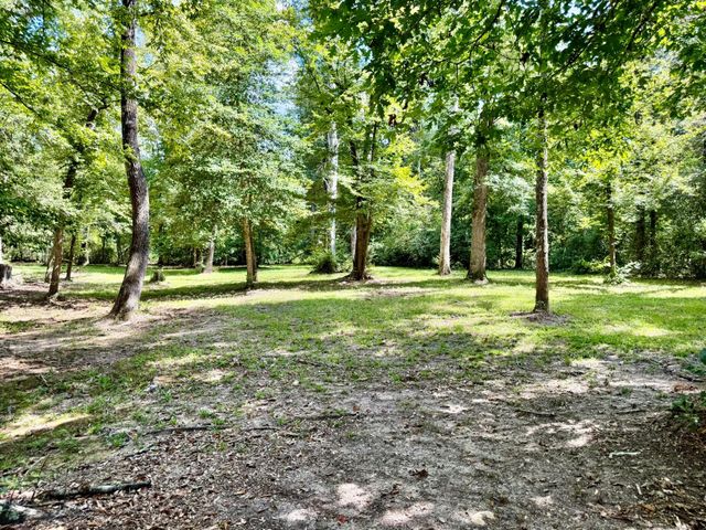 630 Hillbilly Heaven Road, Livingston, TX 77351