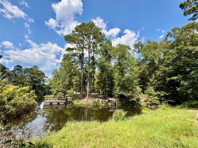 630 Hillbilly Heaven Road, Livingston, TX 77351