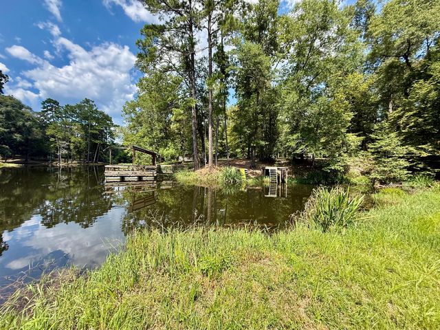630 Hillbilly Heaven Road, Livingston, TX 77351