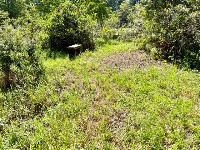 630 Hillbilly Heaven Road, Livingston, TX 77351