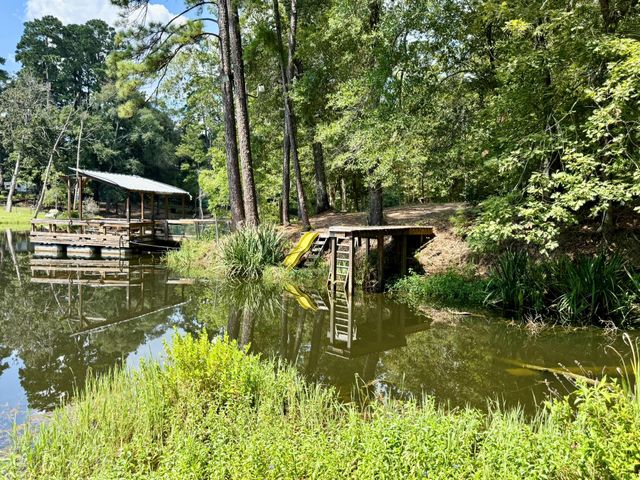 630 Hillbilly Heaven Road, Livingston, TX 77351