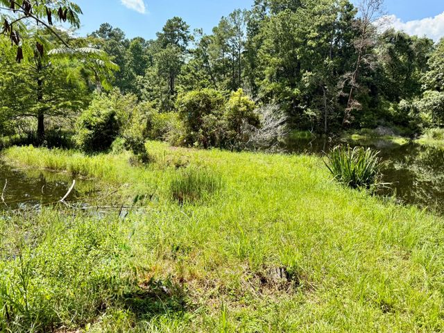 630 Hillbilly Heaven Road, Livingston, TX 77351