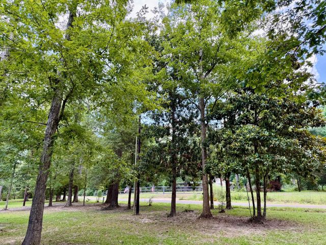630 Hillbilly Heaven Road, Livingston, TX 77351