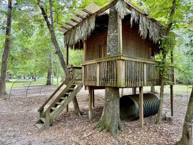 630 Hillbilly Heaven Road, Livingston, TX 77351