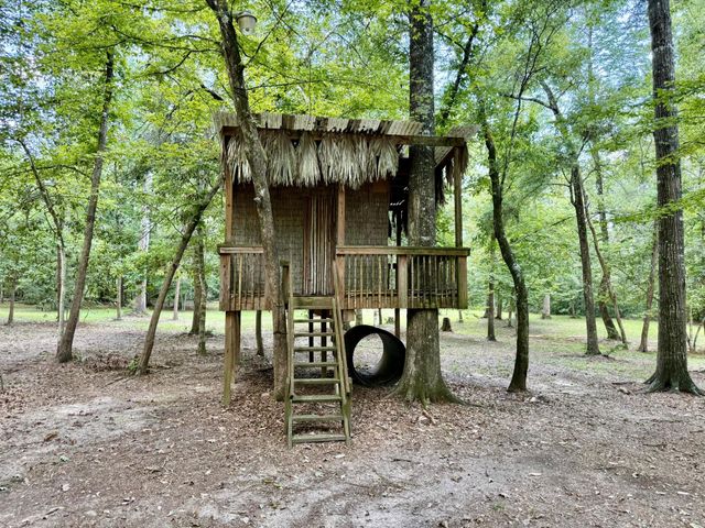 630 Hillbilly Heaven Road, Livingston, TX 77351