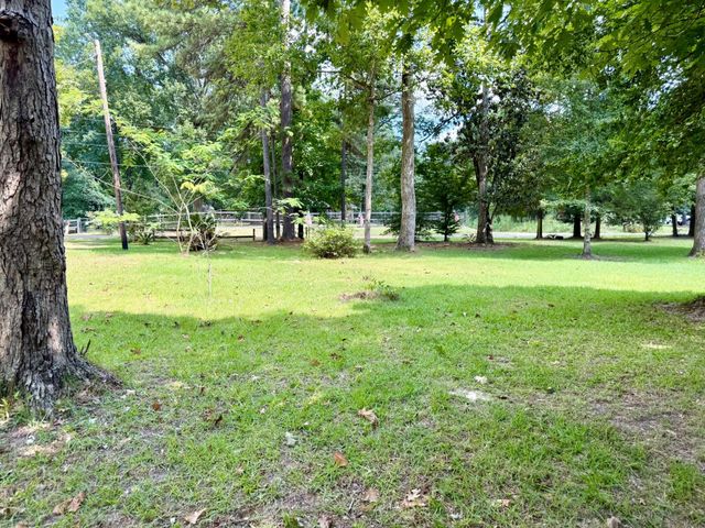 630 Hillbilly Heaven Road, Livingston, TX 77351