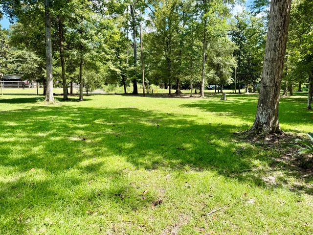 630 Hillbilly Heaven Road, Livingston, TX 77351
