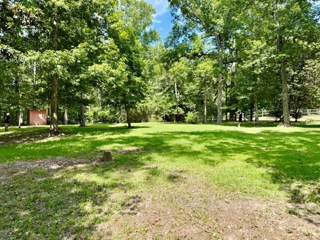 630 Hillbilly Heaven Road, Livingston, TX 77351