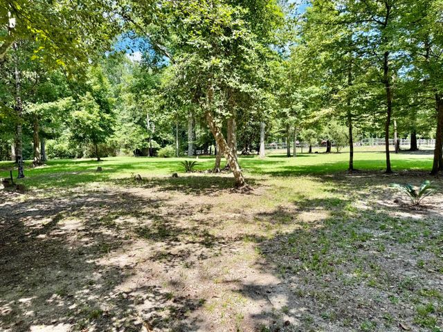 630 Hillbilly Heaven Road, Livingston, TX 77351