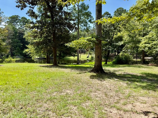 630 Hillbilly Heaven Road, Livingston, TX 77351