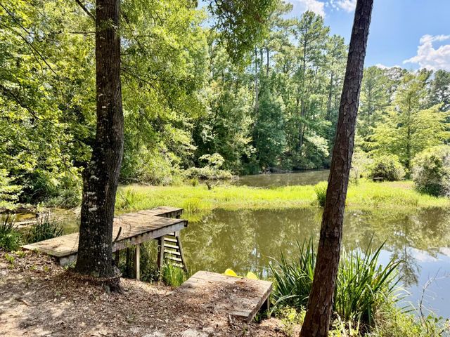 630 Hillbilly Heaven Road, Livingston, TX 77351