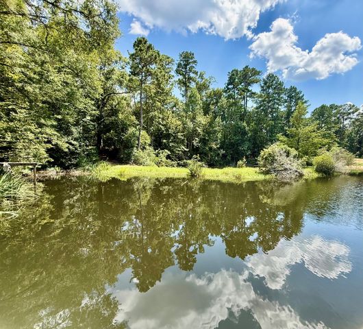 630 Hillbilly Heaven Road, Livingston, TX 77351
