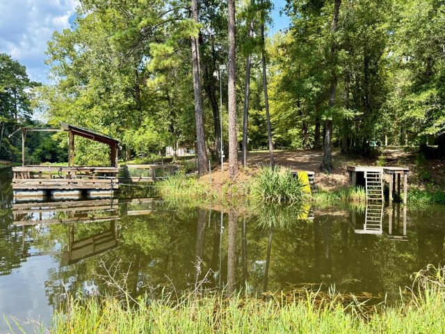 630 Hillbilly Heaven Road, Livingston, TX 77351