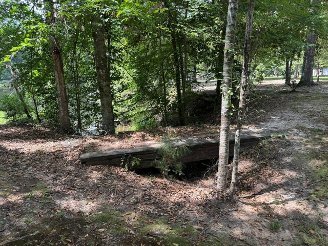 630 Hillbilly Heaven Road, Livingston, TX 77351