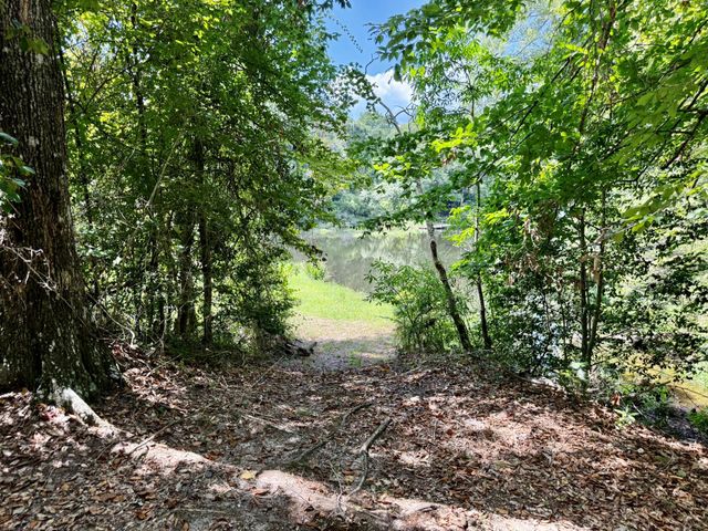 630 Hillbilly Heaven Road, Livingston, TX 77351