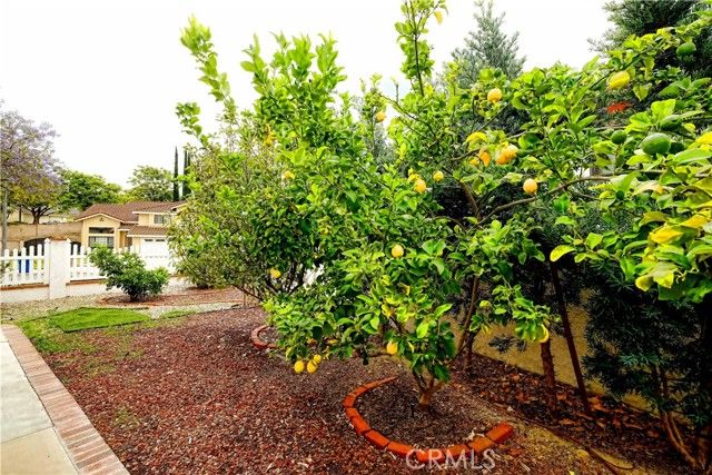 24229 Barker Drive, Diamond Bar, CA 91765
