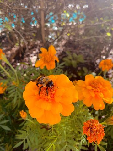 8908 LEGACY COURT 16 103, Kissimmee, FL 34747