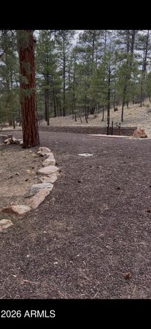 00 S 24TH Drive -, Show Low, AZ 85901